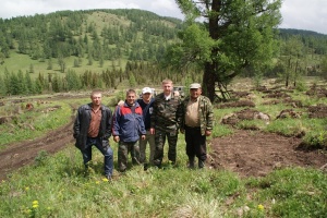 В Республике Алтай высажен миллион хвойных деревьев на площади 310 гектаров 